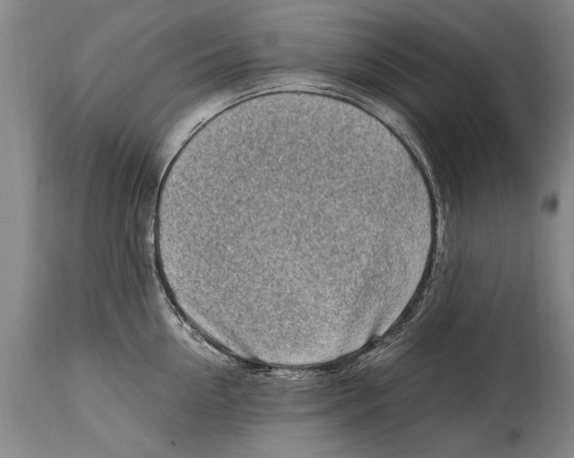 X0000114560954200911161220