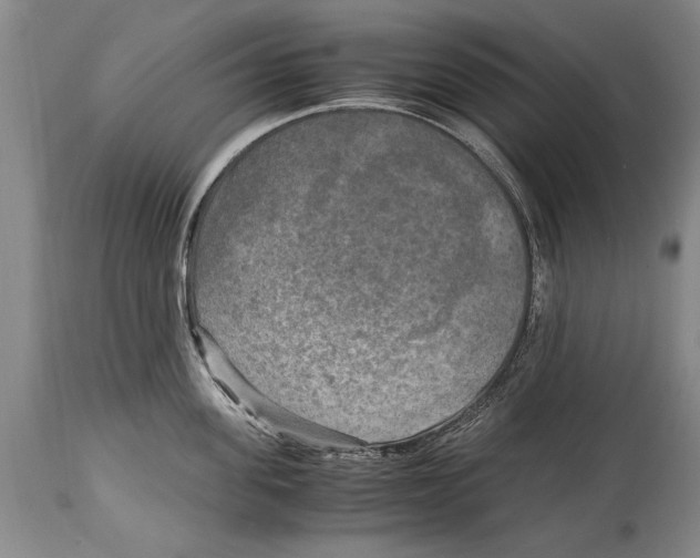X0000114560955200911161220