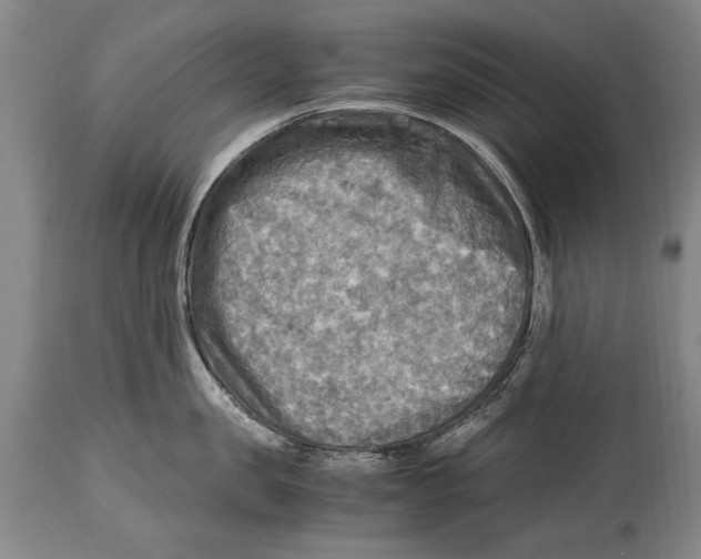 X0000114560957200911161220