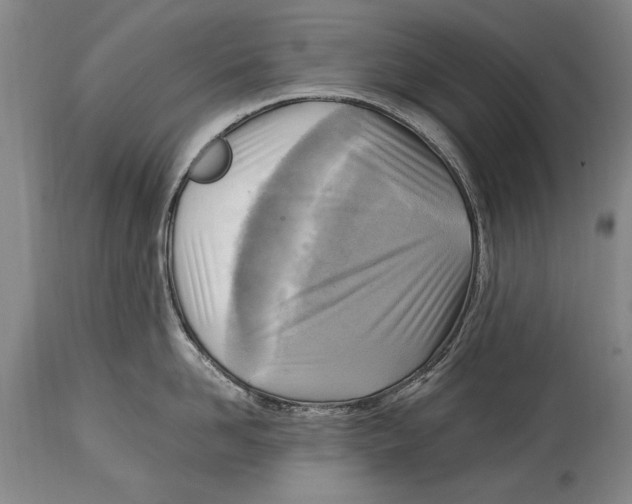 X0000114560958200911161220