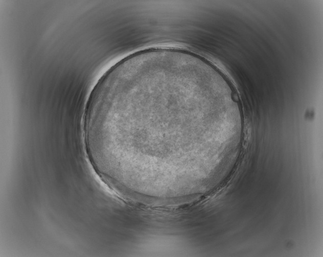 X0000114560959200911161220