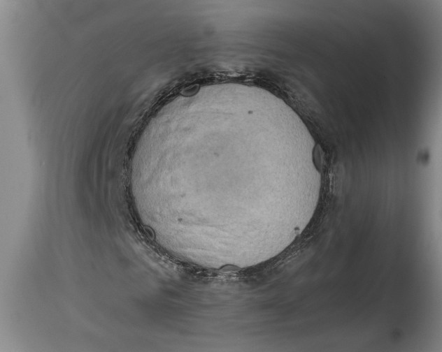 X0000114560961200911161220