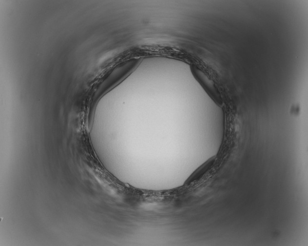 X0000114560965200911161220