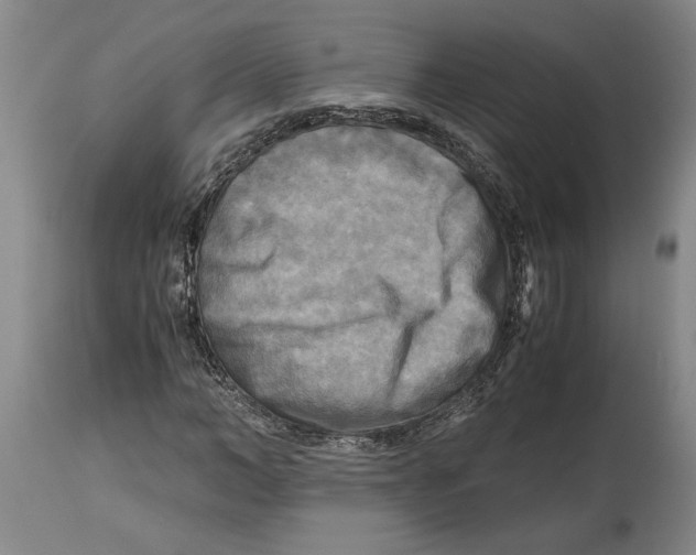 X0000114560966200911161220