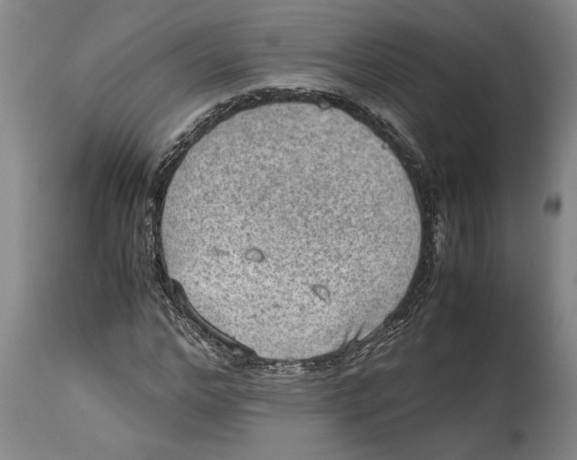 X0000114560968200911161220