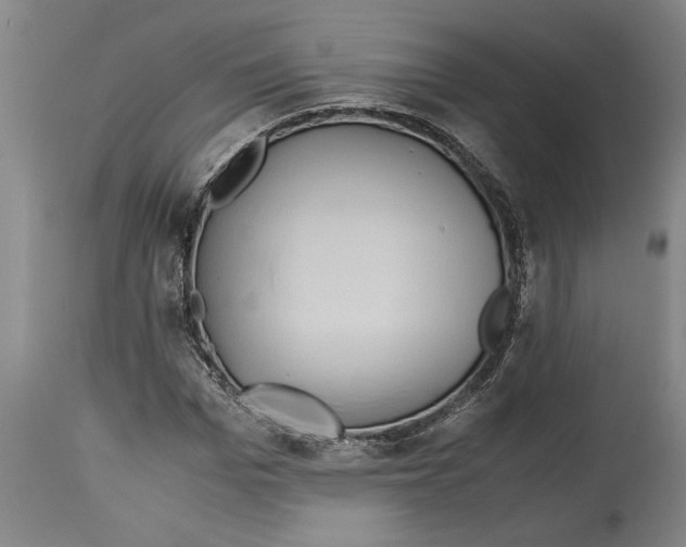 X0000114560969200911161220