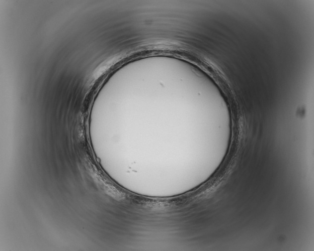 X0000114560970200911161220