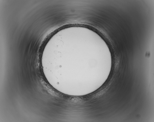 X0000114560974200911161220