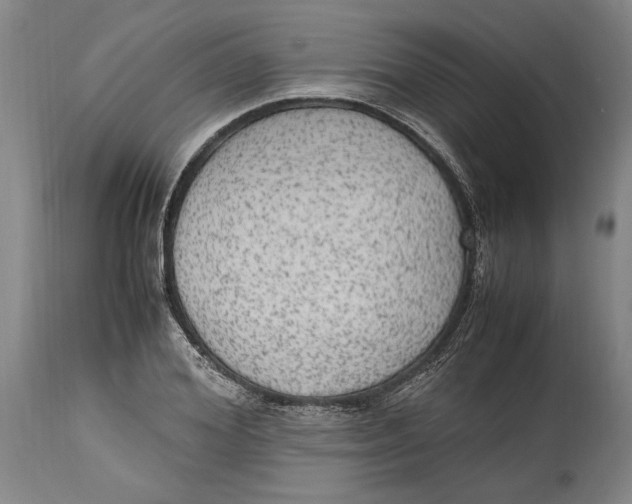 X0000114560980200911161220