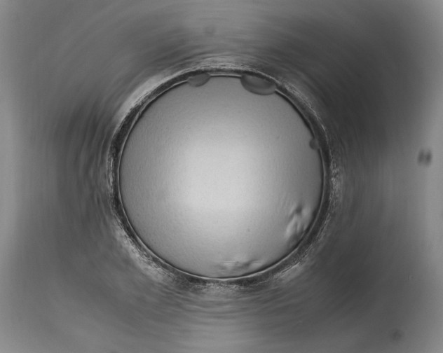 X0000114560981200911161219