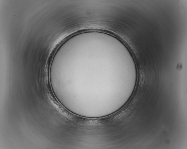 X0000114560982200911161219
