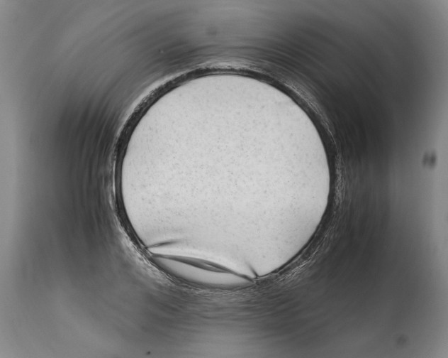 X0000114560984200911161219