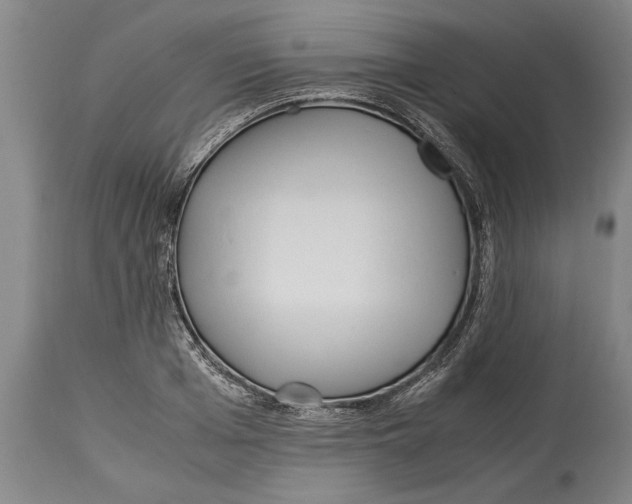X0000114560985200911161219