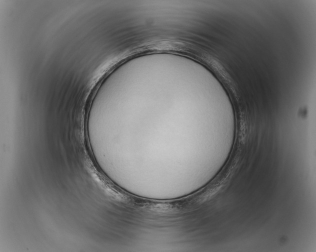 X0000114560986200911161219