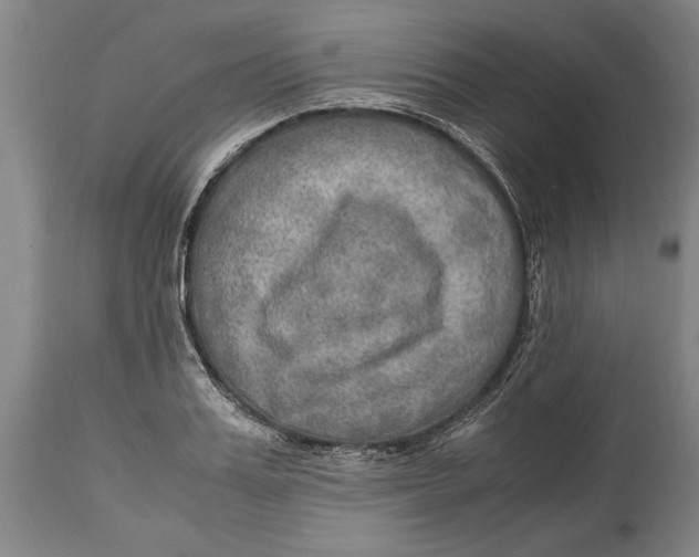 X0000114560987200911161219