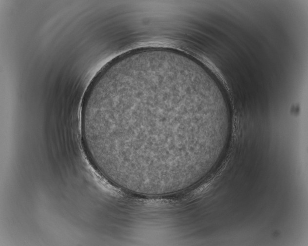 X0000114560988200911161219