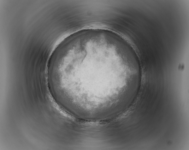 X0000114560990200911161219