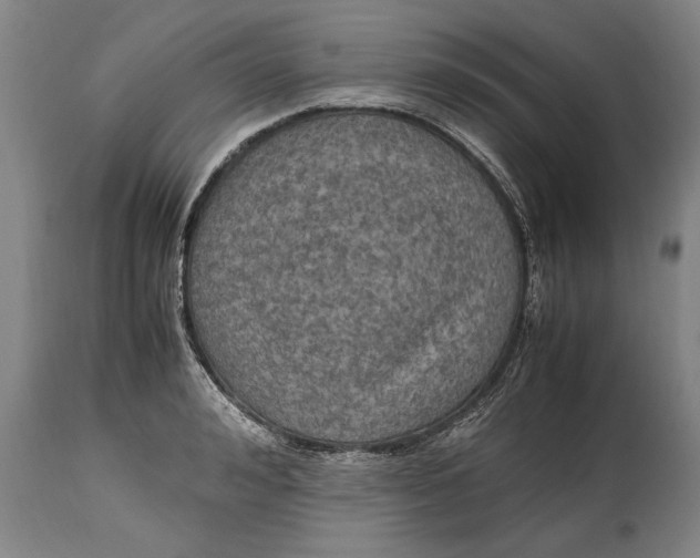 X0000114560992200911161219