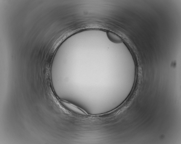 X0000114560993200911161219