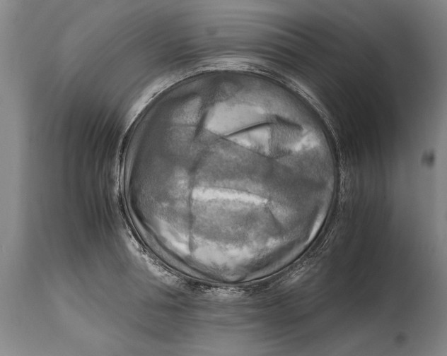X0000114560994200911161219