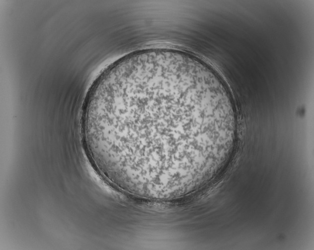 X0000114560995200911161219
