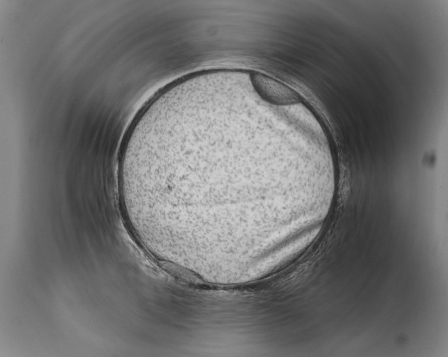 X0000114560996200911161219