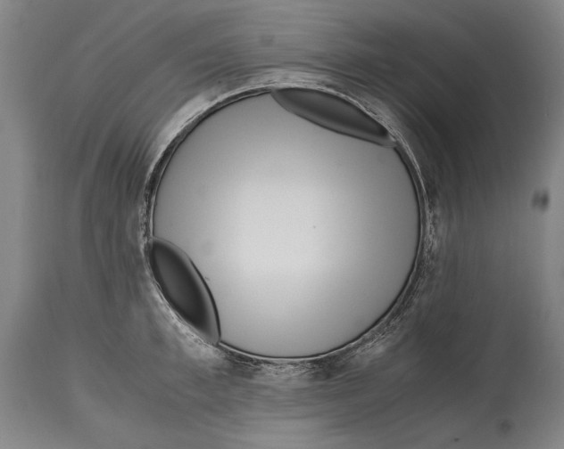X0000114560997200911161219