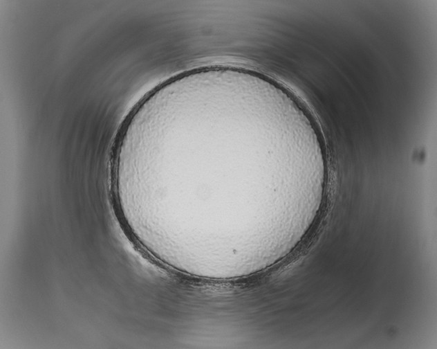 X0000114560999200911161219