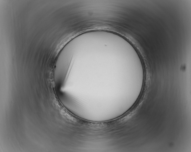 X0000114561001200911161219