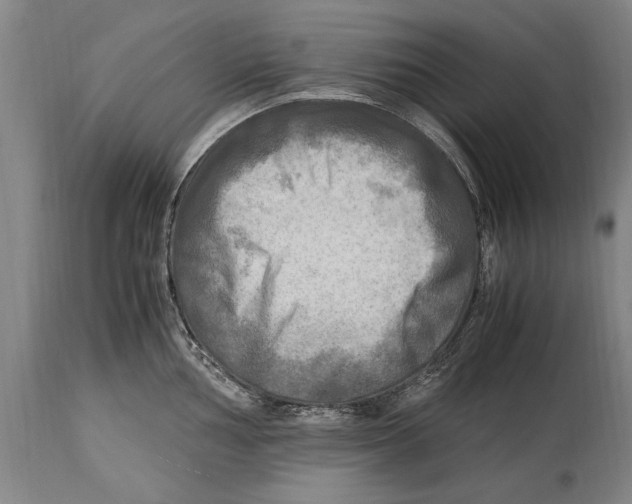 X0000114561002200911161219