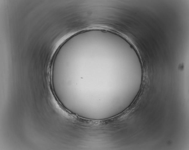 X0000114561003200911161219