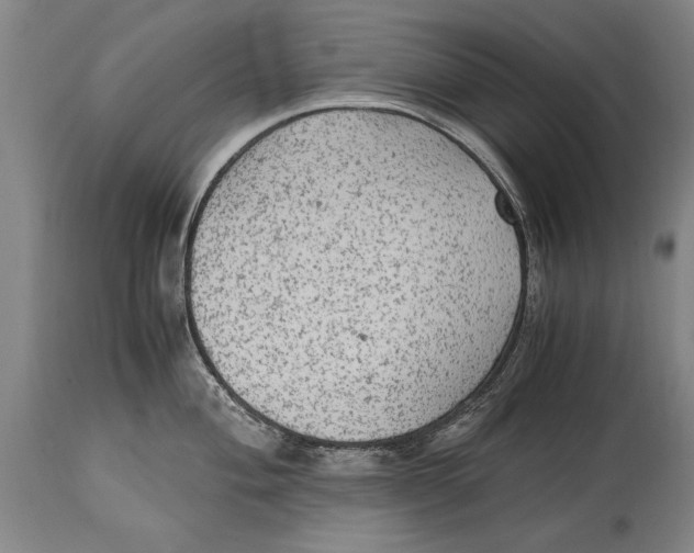 X0000114561004200911161219