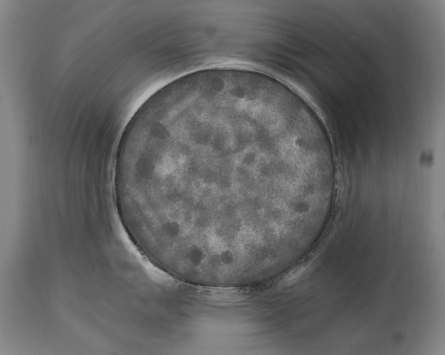 X0000114561007200911161219