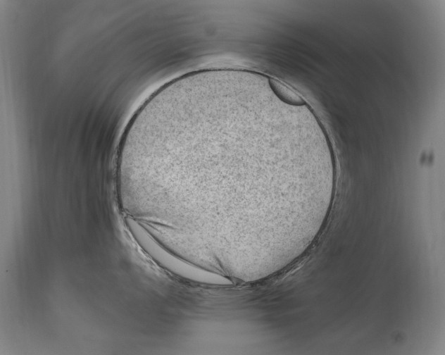 X0000114561008200911161219