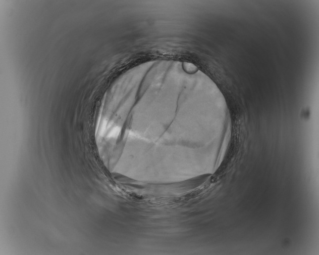 X0000114561009200911161218