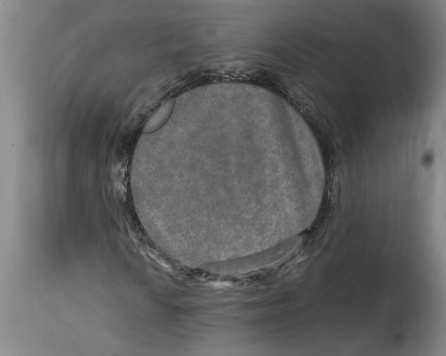X0000114561010200911161218