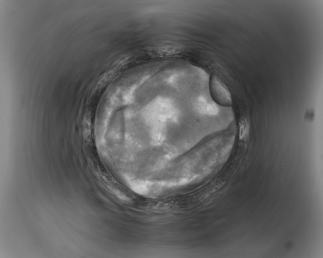 X0000114561011200911161218