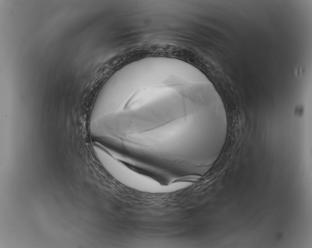 X0000114561013200911161218