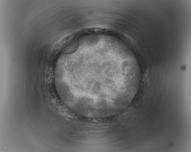 X0000114561014200911161218