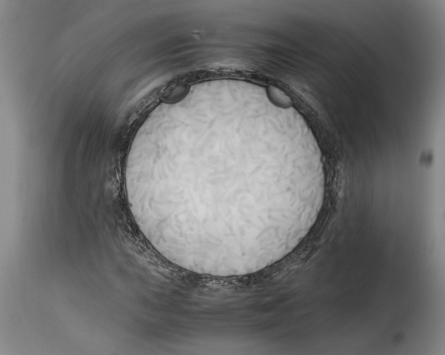 X0000114561015200911161218