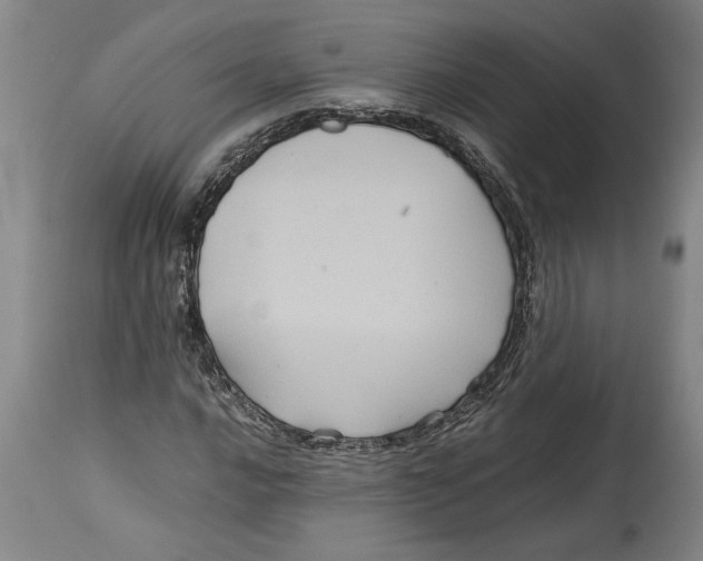 X0000114561016200911161218