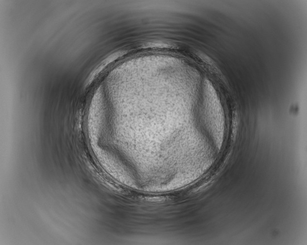 X0000114561017200911161218