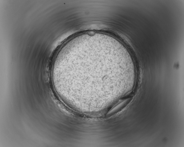 X0000114561018200911161218