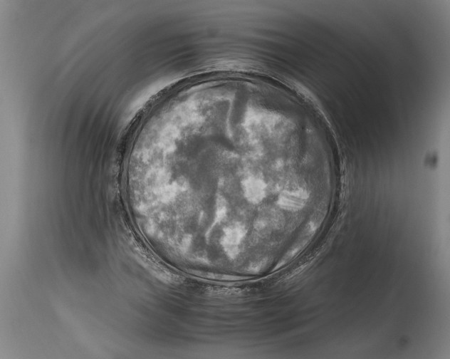X0000114561019200911161218
