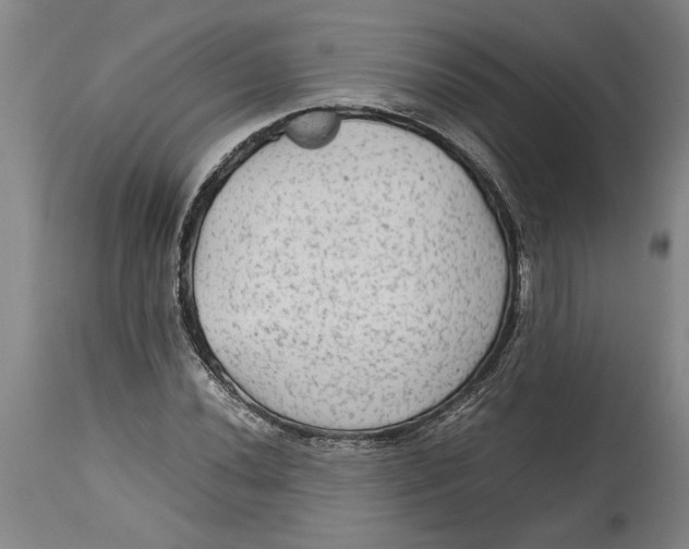 X0000114561020200911161218