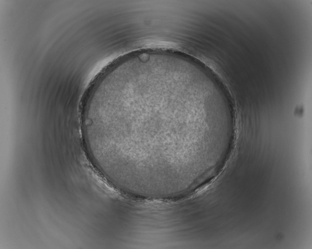 X0000114561022200911161218
