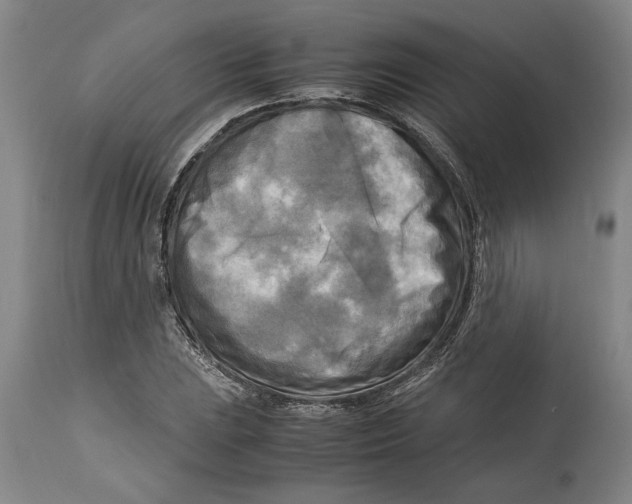 X0000114561023200911161218