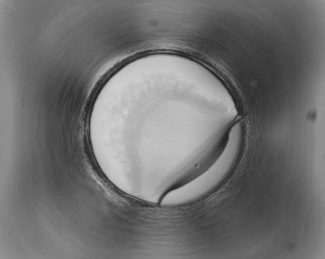 X0000114561024200911161218