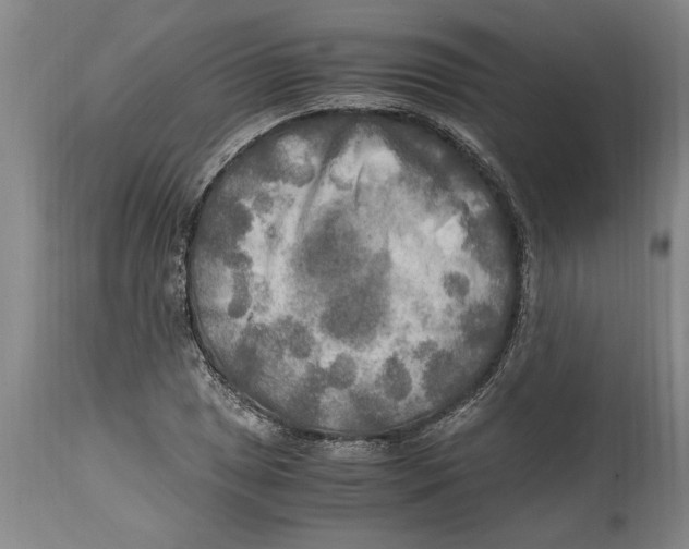 X0000114561025200911161219