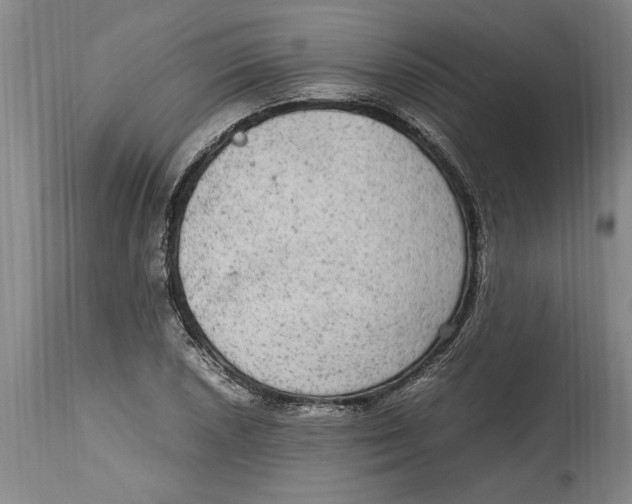 X0000114561026200911161219